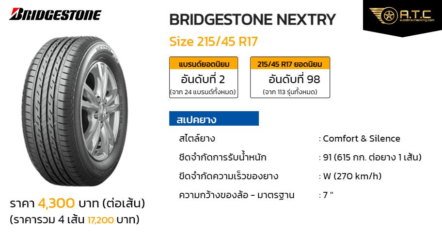 GL230520-4 BRIDGESTONE NEXTRY 215/55 R17 - rebeccajosteelmanart.com